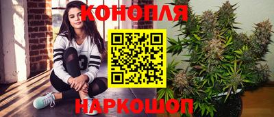 гидра Шахты