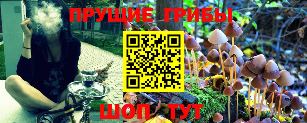 Галлюциногенные грибы мухоморы Ахтубинск
