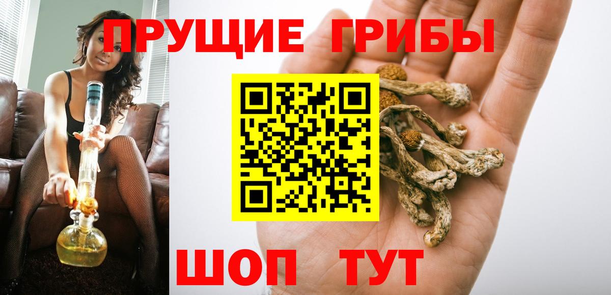 Ахтубинск  Псилоцибиновые грибы Cubensis  Вход с VPN 
